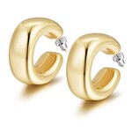 Earrings rio big gold coloured