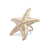 Ring starfish plain goldplated Ring starfish plain goldplated