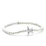 Star silver Star silver