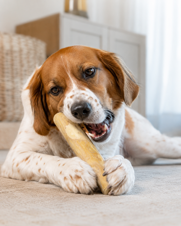 DogsPerfect DogsPerfect Coffee Wood Chew DogsPerfect DogsPerfect Coffee Wood Chew