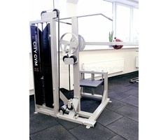 Multi Hip Machine