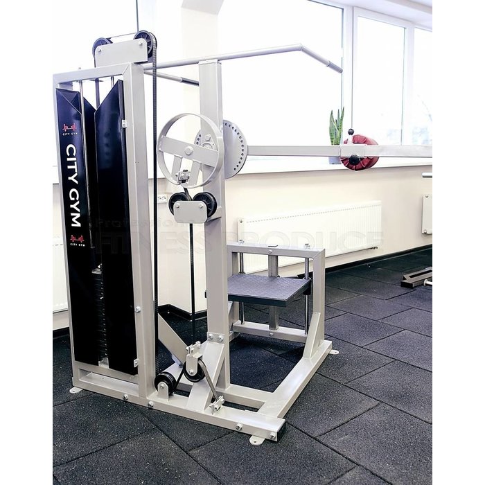 Multi Hip Machine