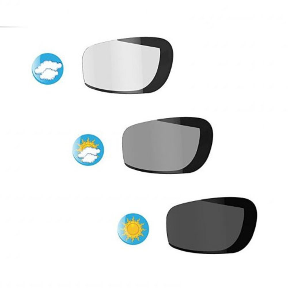 Bertoni Bertoni F113A motorbril Bertoni Bertoni F113A motorbril