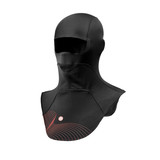 REV IT! Revit Maximus WSP Balaclava