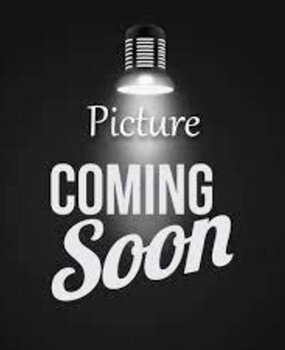 Modeka Modeka Wolter 2 motorschoenen