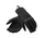 Size : L