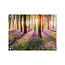 Sweet Living Outdoor Poster Blumen im Wald