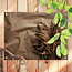 Sweet Living Outdoor Poster Pampas auf Umschlagpapier