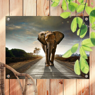 Sweet Living Outdoor Poster Laufender Elefant
