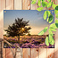 Sweet Living Outdoor Poster Heather