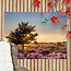 Sweet Living Outdoor Poster Heather