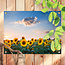 Sweet Living Outdoor Poster Sommer-Sonnenblumen