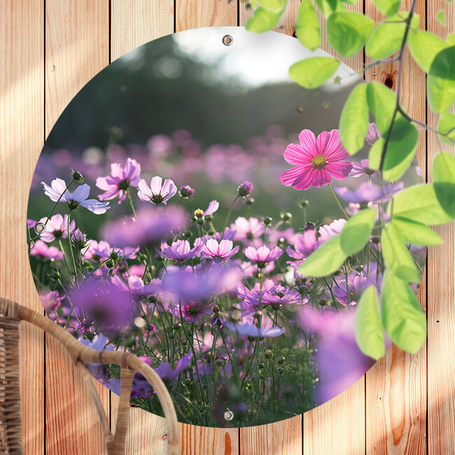 Sweet Living Outdoor Poster Kosmos Blume
