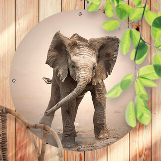 Sweet Living Rundes Outdoor Poster Elefantenkalb