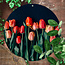 Sweet Living Rundes Outdoor Poster Rote Tulpen