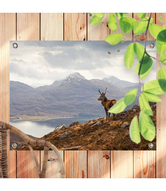 Sweet Living Outdoor Poster Ein Hirsch im schottischen Hochland