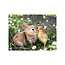 Sweet Living Outdoor Poster Kaninchen und Küken