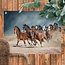 Sweet Living Outdoor Poster Herde von Pferden