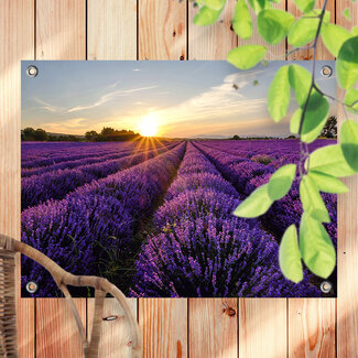 Sweet Living Outdoor Poster Lavendelblütenfeld