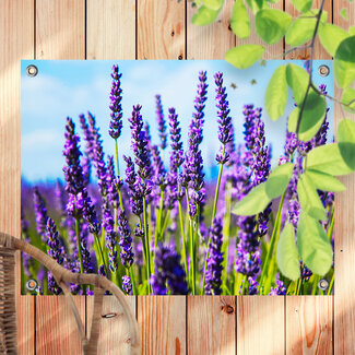 Sweet Living Outdoor Poster Lavendel