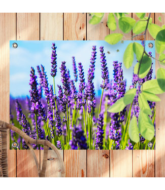 Sweet Living Outdoor Poster Lavendel