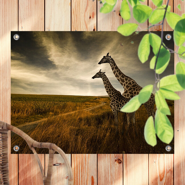 Sweet Living Outdoor Poster Zwei Giraffen