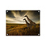 Sweet Living Outdoor Poster Zwei Giraffen