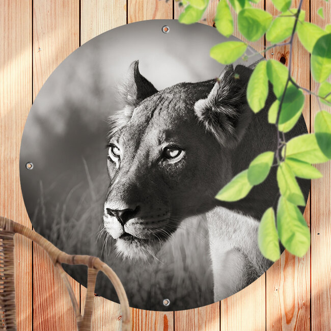 Sweet Living Rundes Outdoor Poster Afrikanische Löwin