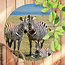 Sweet Living Rundes Outdoor Poster Drei Zebras