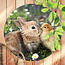 Sweet Living Rundes Outdoor Poster Kaninchen und Küken