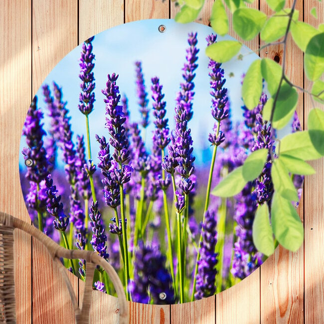 Sweet Living Rundes Outdoor Poster Lavendel