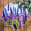 Sweet Living Rundes Outdoor Poster Lavendel