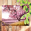 Sweet Living Outdoor Poster Blüte