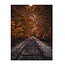 Sweet Living Leinwand Bild Eisenbahn