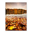 Sweet Living Glas Bild Herbstsee