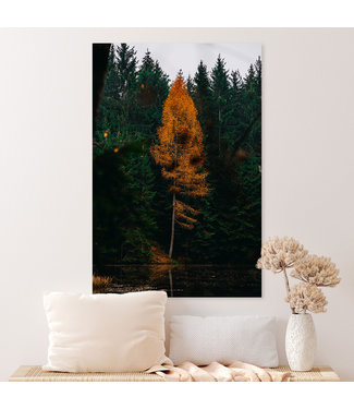 Sweet Living Leinwand Bild Orangenbaum