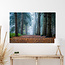 Sweet Living Glas Bild Nebliger Waldweg