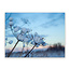 Sweet Living Leinwand Bild Winterlandschaft