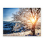 Sweet Living Leinwand Bild Gefrorener Baum