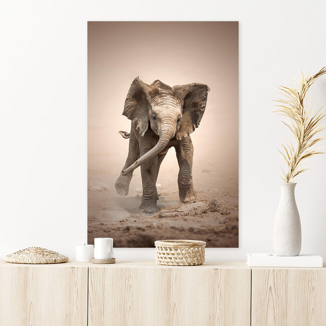 Sweet Living Leinwand Bild Elefantenkalb
