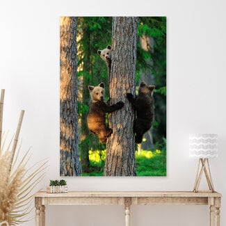 Sweet Living Leinwand Bild Drei Bären