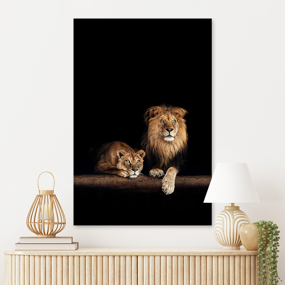 Leinwand Bild Löwin und Löwe