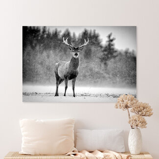 Sweet Living Leinwand Bild Hirsch Schwarz und Weiß