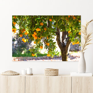 Sweet Living Leinwand Bild Orangenbaum