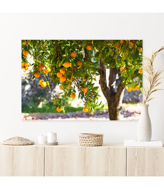 Sweet Living Leinwand Bild Orangenbaum