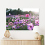 Sweet Living Leinwand Bild Kosmos Blume