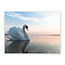 Sweet Living Leinwand Bild Weißer Schwan