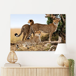 Sweet Living Leinwand Bild Jagd auf Leoparden