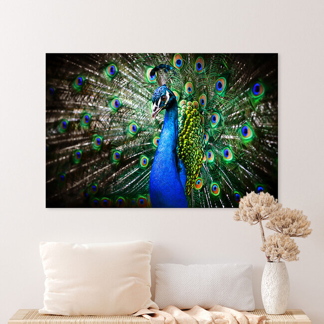 Sweet Living Leinwand Bild Blauer Pfau