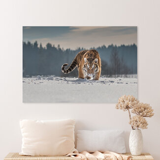 Sweet Living Leinwand Bild Tiger im Schnee